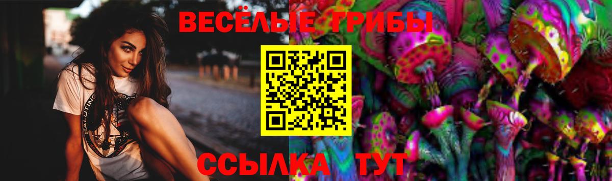Галлюциногенные грибы Cubensis Пыть-Ях
